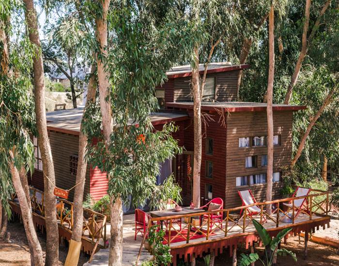 Suite Taabiha, véritable cabane dans les arbres...