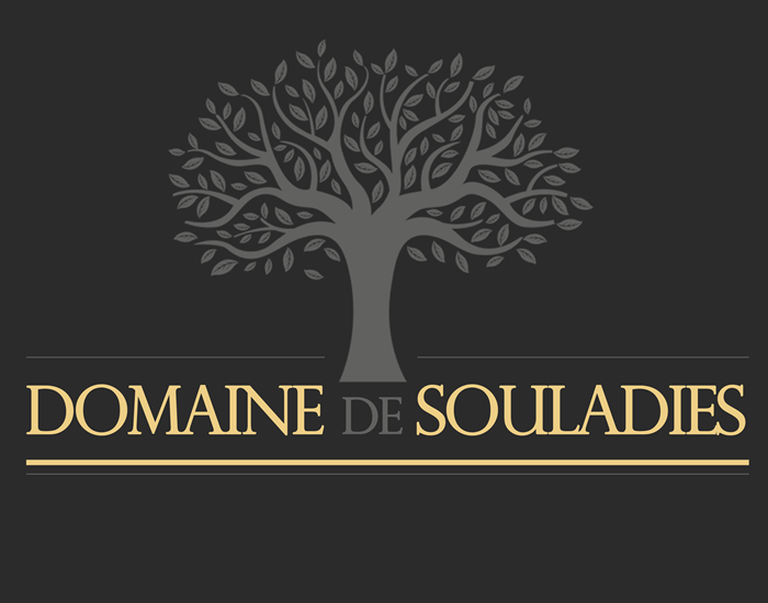 logo-domainedesouladies