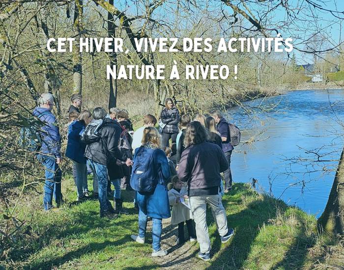 activites-nature-ardenne-balade-castor