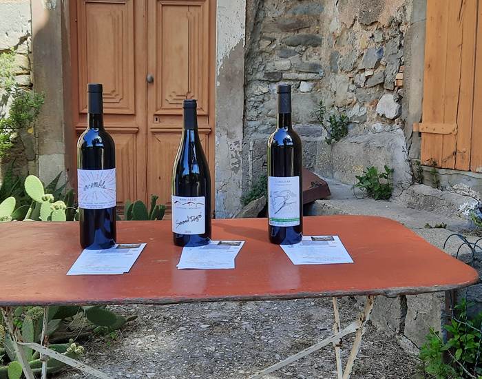 Dégustation des vins du Domaine Les Tuileries