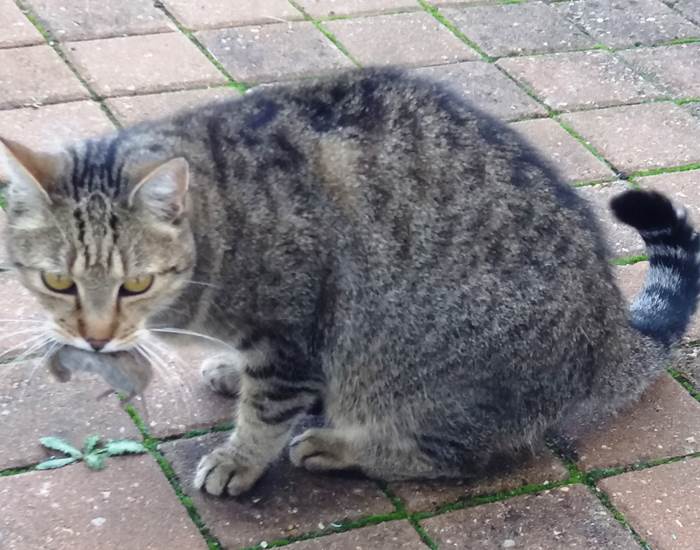 Élios, notre Bébé d’Amour