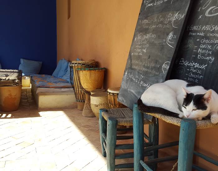 Bob et la carte de lunch