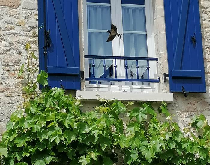 Sans titre