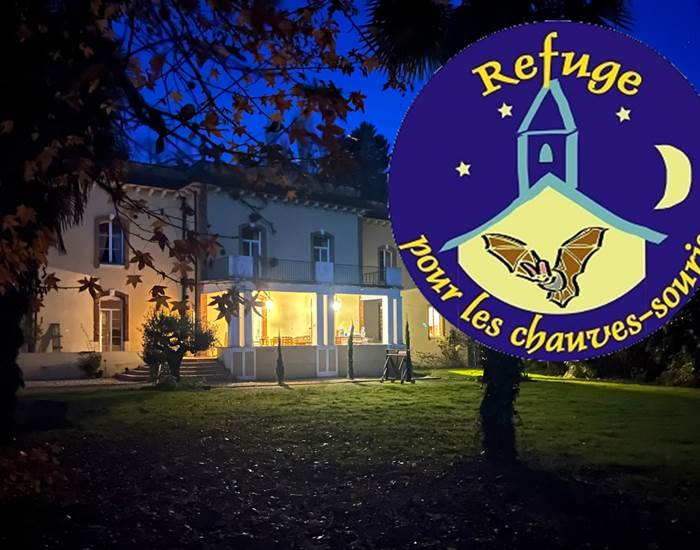 Refuge pour chauves-souris