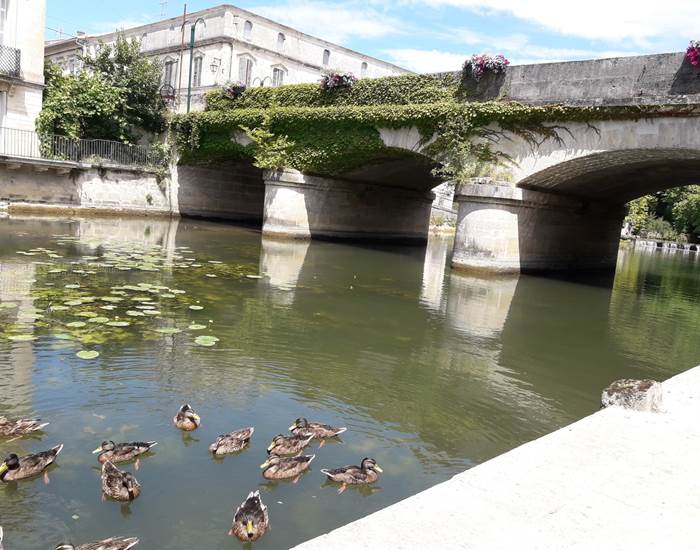 le vieux pont
