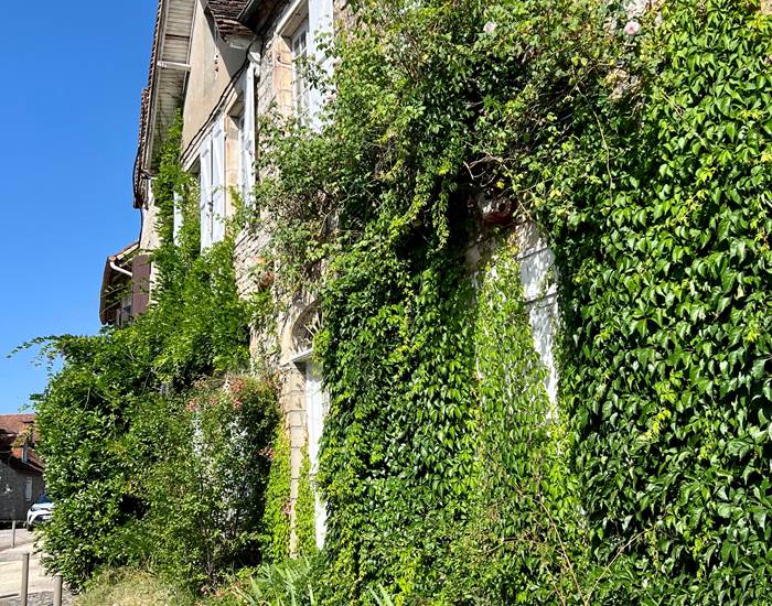 Ruelle de Martel