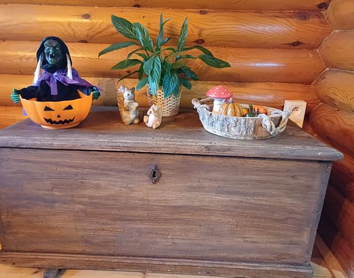 Décorations automne et Haloween