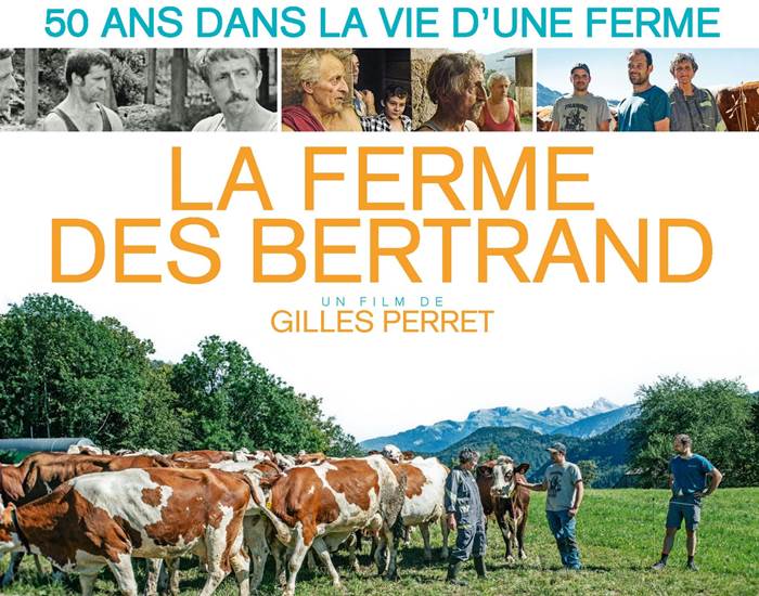 Sans titre