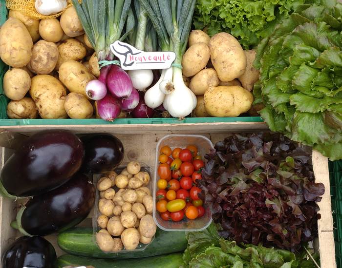 Nos légumes