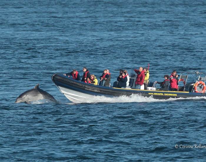 Archipel Excursions au départ du Conquet - sur réservation