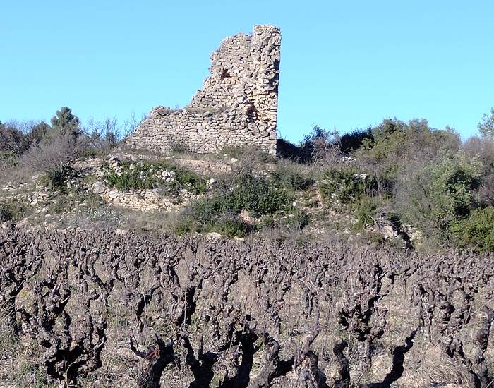 cadre hydilique pour un pique-nique vigneron