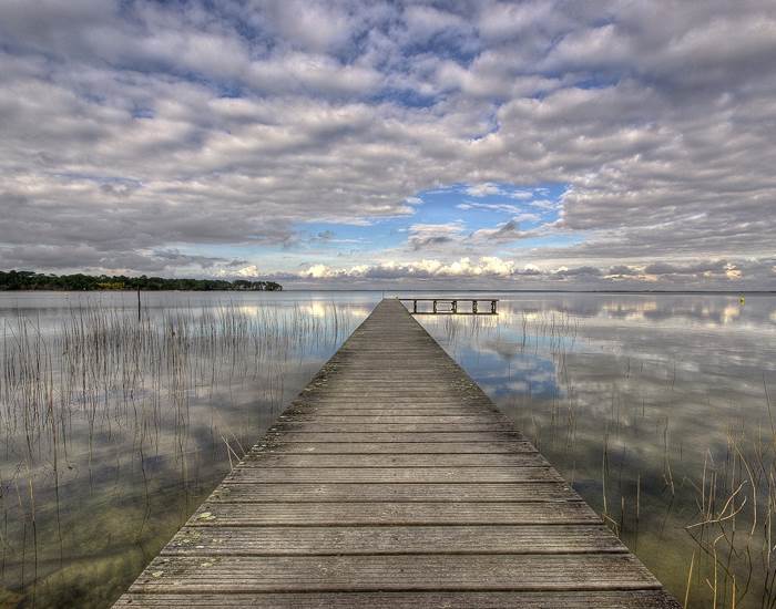 L'étang de Cousseau
