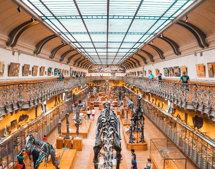 Muséum d'Histoire Naturelle