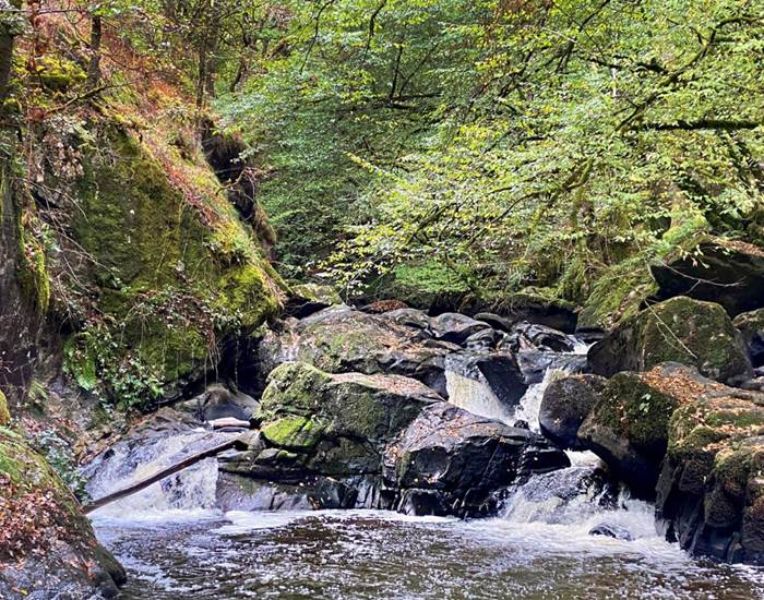 saut-du-chalar