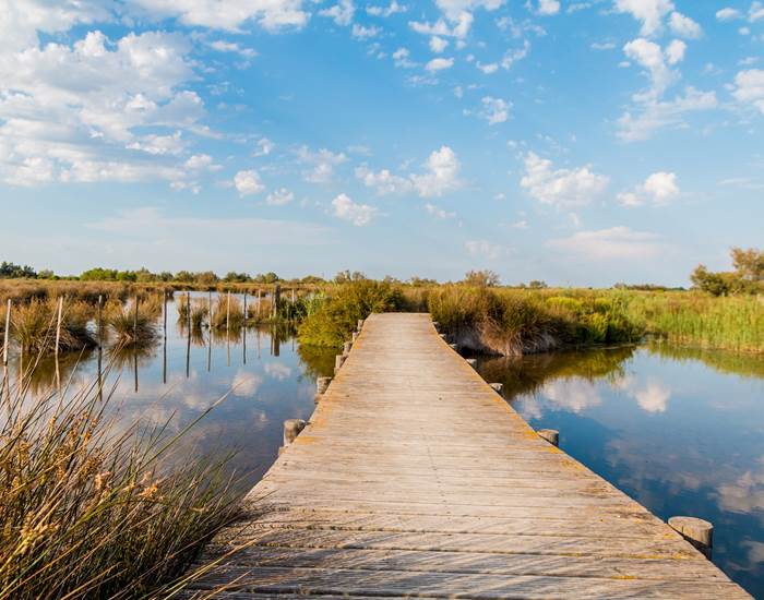 Camargue