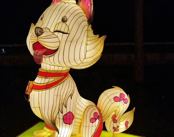 Signe chinois du Chien