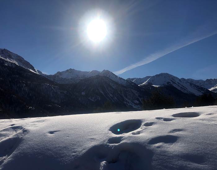 Paysage hivernal