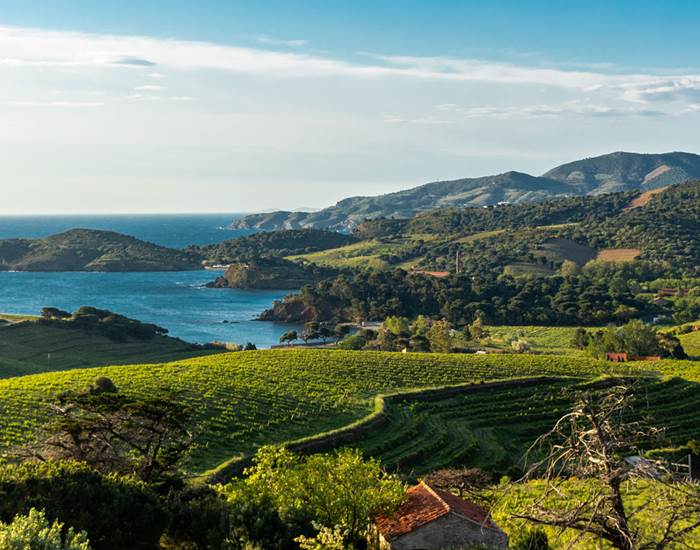 le vignoble-occitanie-gaillac-marssac-albi
