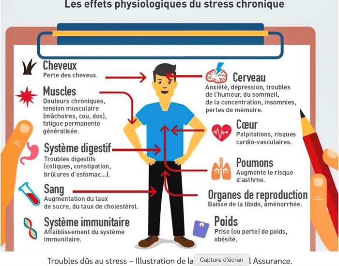 de quelques symptômes causés par le stress chronique-page