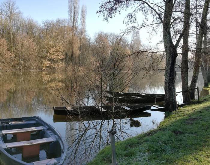 Sous la palissade