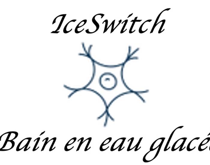 Sans titre