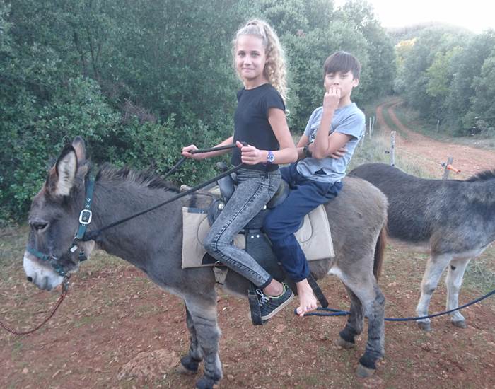 Jeux avec les ânes