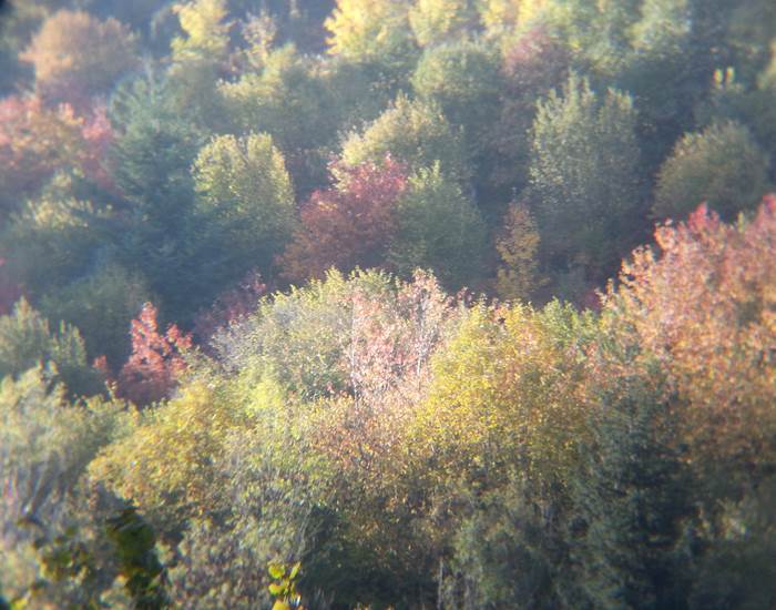 Soleil d'automne