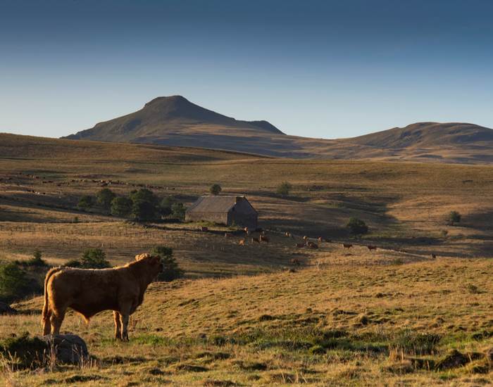 Le Cantal