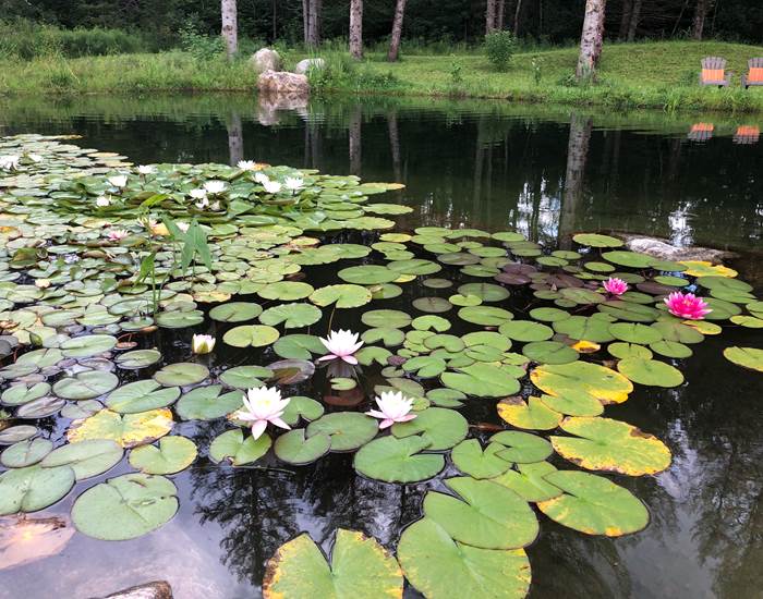 le lac