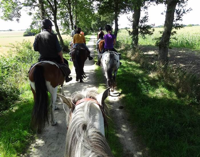 Randonnée à cheval
