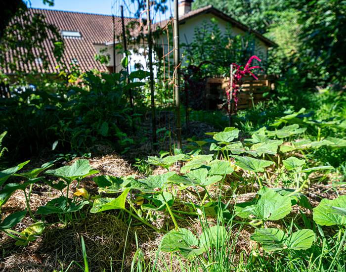 Les jardins de Berdis - Potager