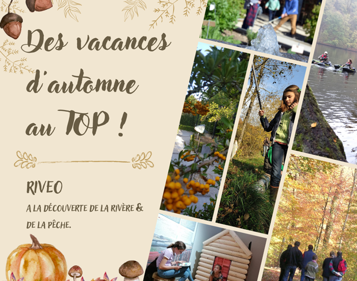 Riveo - automne top