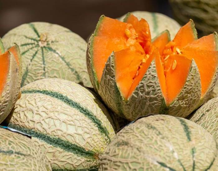 fruits-saison-local-bio