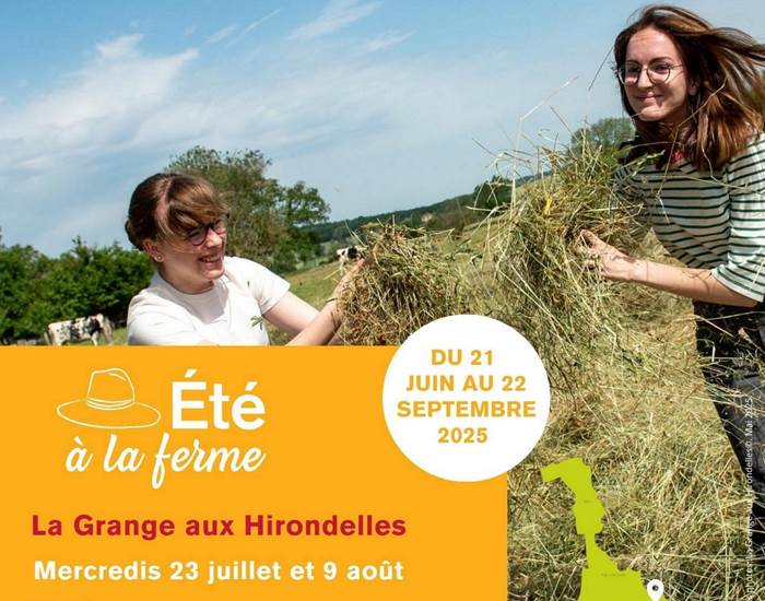 Sans titre