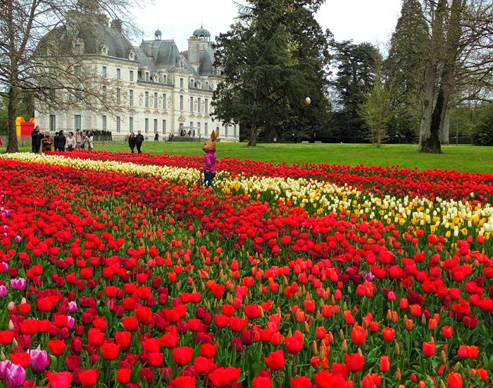 Cheverny