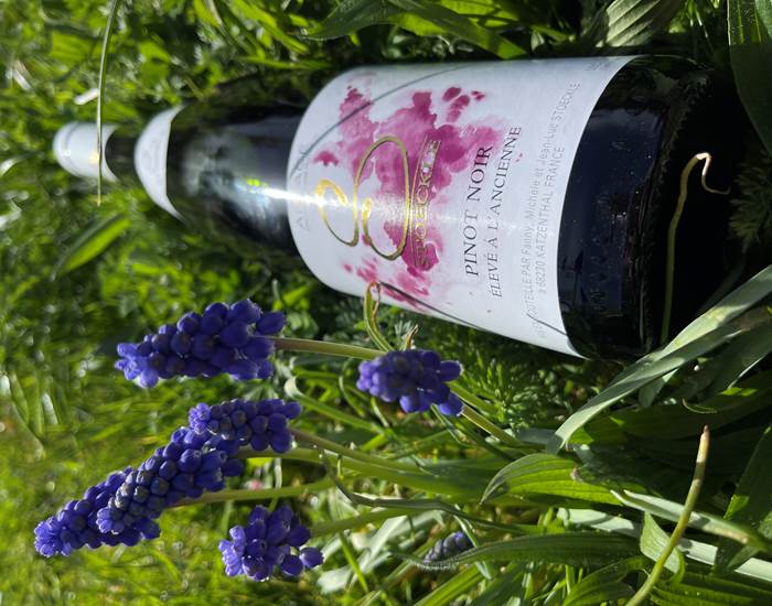 Pinot noir