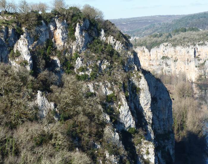 Sans titre-news
