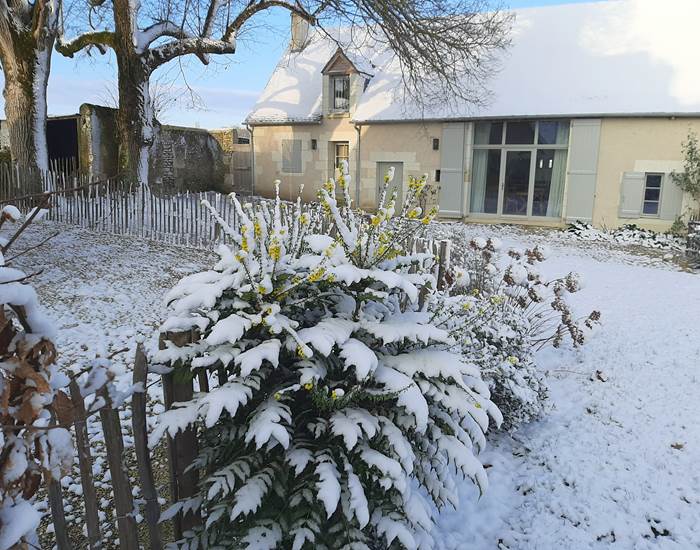 Jardin du Cygne sous la neige