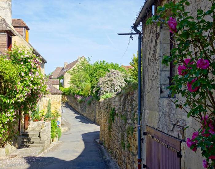 Ruelle