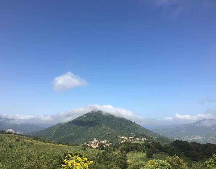#Arbellara #Corse-du-Sud