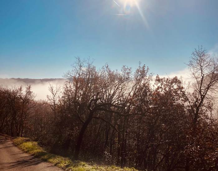 Journée d'hiver sous le soleil
