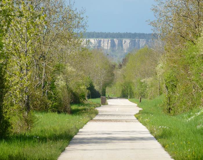 Marcher dans ce décor naturel bourguignon, produit des hormones anti stress à tous les coups-page