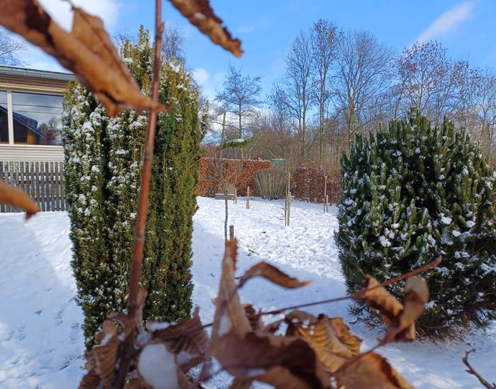 Quel beau jardin, tout blanc !