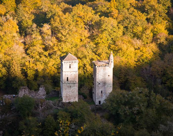 tours de merle (1)