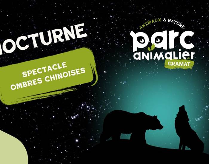 Nocturnes