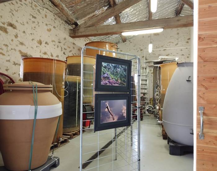 Expostion du club photos de Mailhac