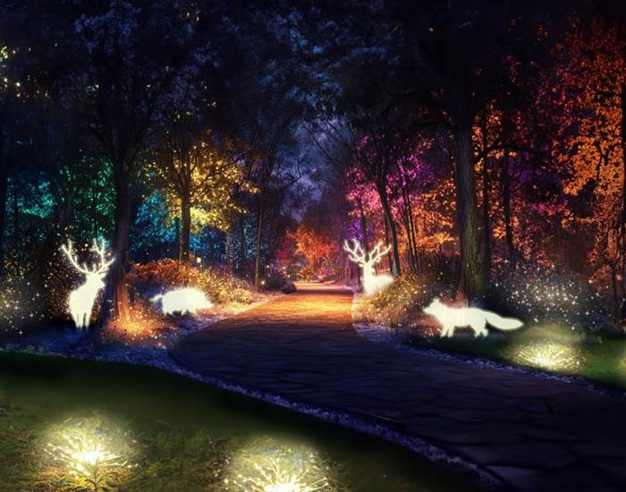 La forêt enchantée