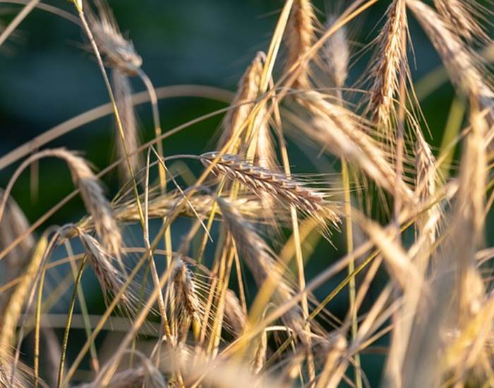 Rencontre avec la filière bio