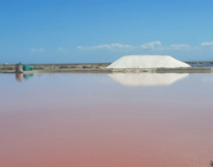 Les salins de Gruissan