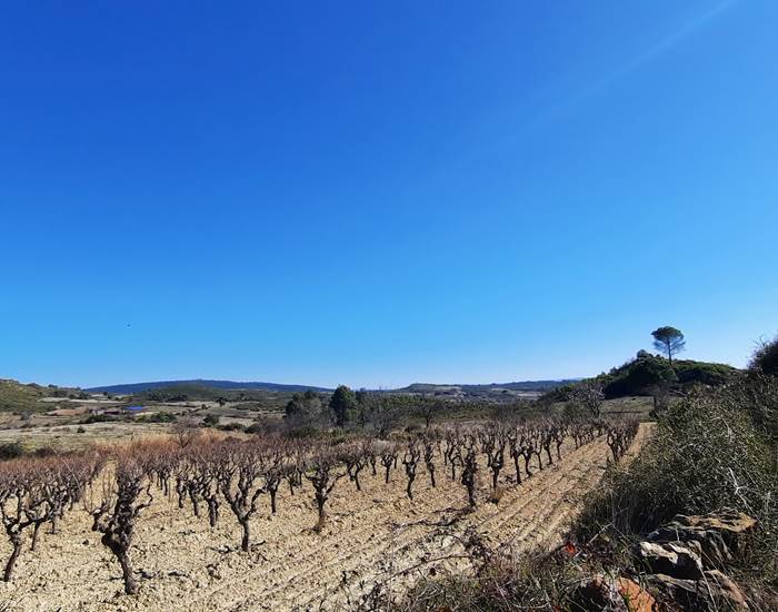 Des balades sous un beau ciel bleu toute l'année